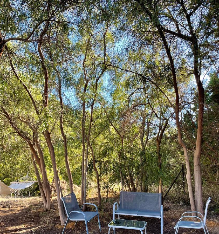 فيلا Seaside Retreat House كاكوفاتوس المظهر الخارجي الصورة