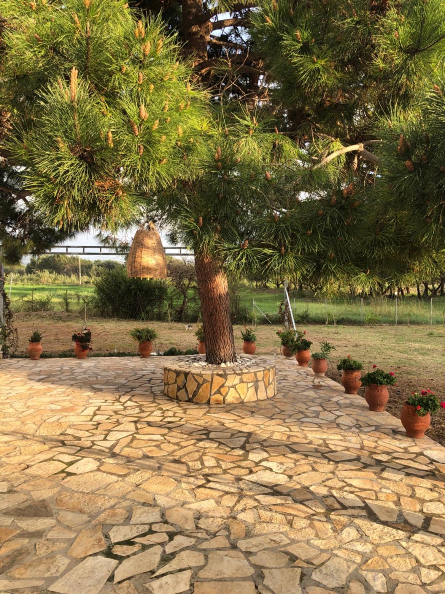 فيلا Seaside Retreat House كاكوفاتوس المظهر الخارجي الصورة